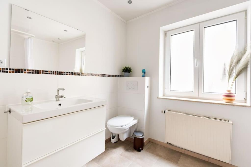 E"Stein 3 Zkb Terrasse Apartment Koblenz  Ngoại thất bức ảnh